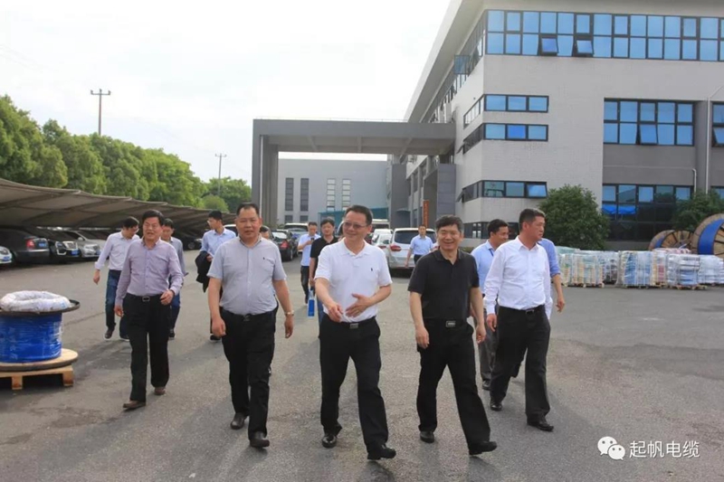 池州市長(cháng)雍成瀚等參觀(guān)調研起帆電纜總部3