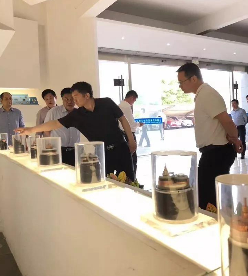 池州市長(cháng)雍成瀚等參觀(guān)調研起帆電纜總部4