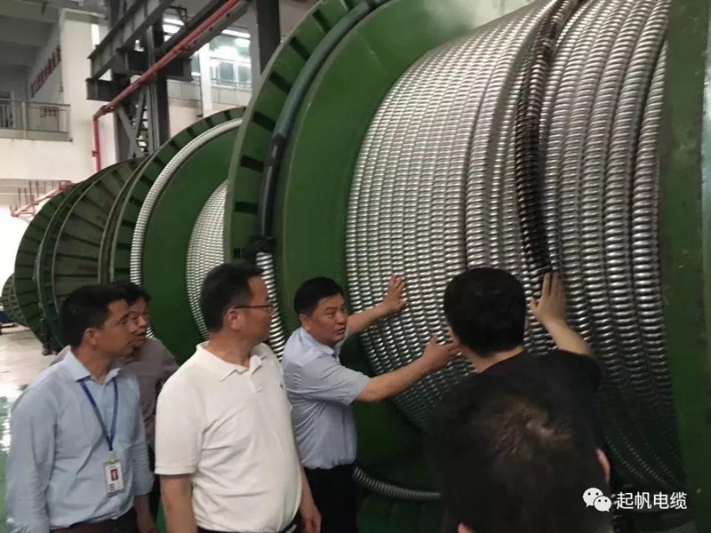 池州市長(cháng)雍成瀚等參觀(guān)調研起帆電纜總部5