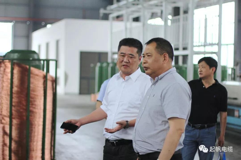 池州市長(cháng)雍成瀚等參觀(guān)調研起帆電纜總部6