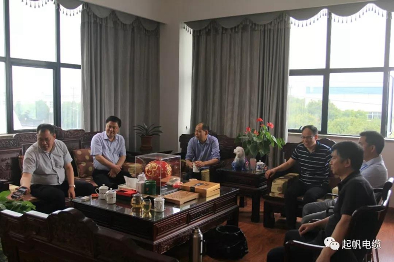 池州市長(cháng)雍成瀚等參觀(guān)調研起帆電纜總部7